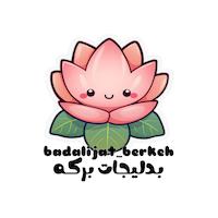 خرازی و بدلیجات برکه